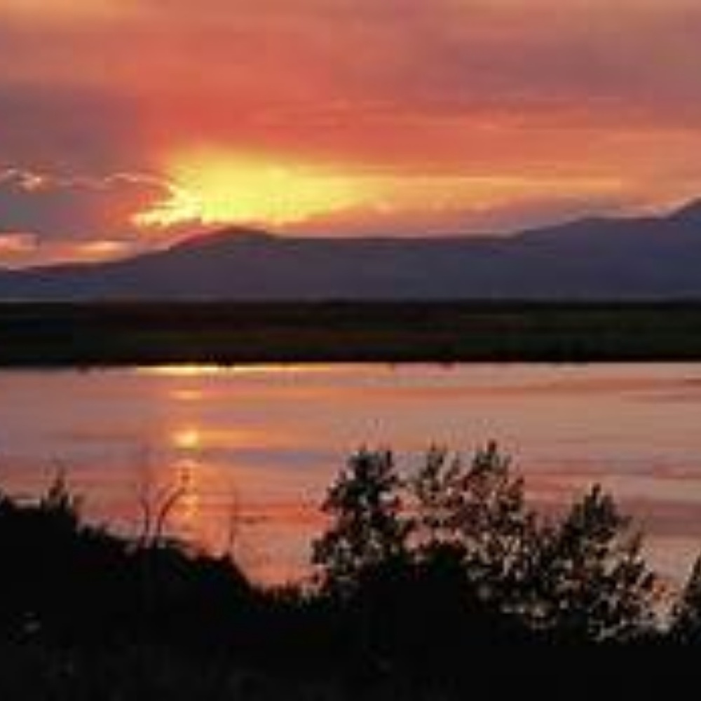 Meet your Posher, Yanyan